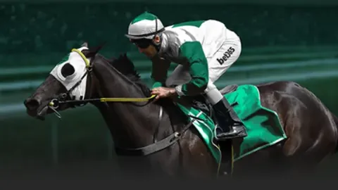 【雄安春潮·世界借鉴】“雄安模式，引领全球发展新趋势”